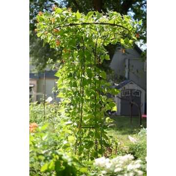 Achla Designs PYL-09 Mushroom Garden Pylon Trellis Climbing Plants Support, Wrought Iron, 72-in H, Roman Bronze