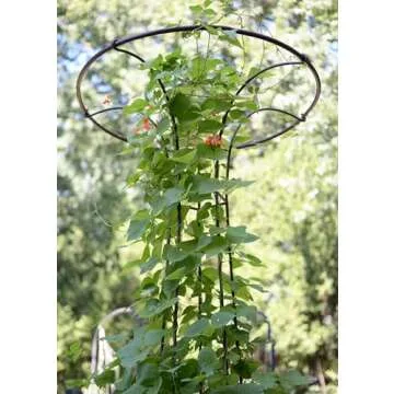 Achla Designs PYL-09 Mushroom Garden Pylon Trellis Climbing Plants Support, Wrought Iron, 72-in H, Roman Bronze