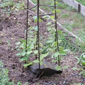 Achla Designs PYL-09 Mushroom Garden Pylon Trellis Climbing Plants Support, Wrought Iron, 72-in H, Roman Bronze