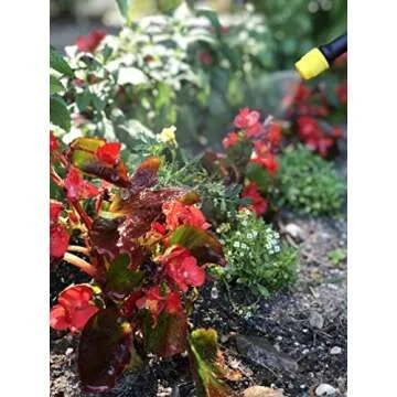 Rechargeable Battery Powered Sprayer for Easy Gardening