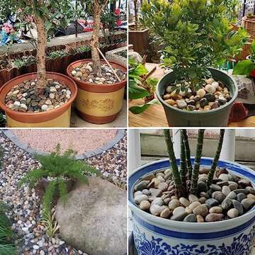 SHIZWU Colorful Polished River Rocks for Outdoor Decor