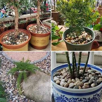 SHIZWU Colorful Polished River Rocks for Outdoor Decor