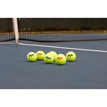 Penn Championship Extra Duty Tennis Balls 24 Cans 72 Balls