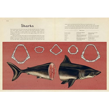 Animalium Beautifully Illustrated Natural History Book