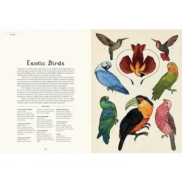 Animalium Beautifully Illustrated Natural History Book