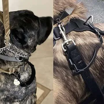 DEYACE Dog Collar Safety Clip, 2 Pack Waterproof Heavy Backup for Prong Collar, Dog Harness Collar Leash Connector (8-Inches, Black)