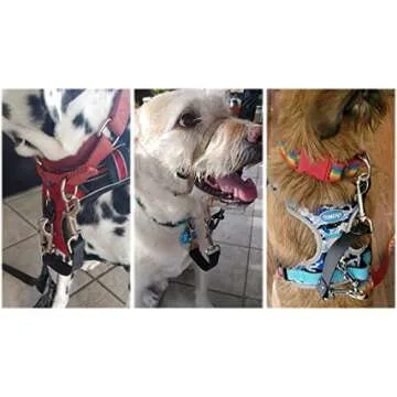 DEYACE Dog Collar Safety Clip, 2 Pack Waterproof Heavy Backup for Prong Collar, Dog Harness Collar Leash Connector (8-Inches, Black)