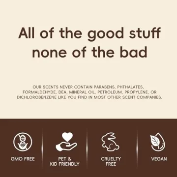 CORROY Car Air Freshener Natural Essential Oil Scent