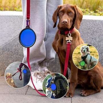 ARTECARE Portable Pet Travel Dog Bowls, 2 Pack Convenient Collapsible Dog Bowls, Small Pet Slow Feeder Design for Dogs Cats Feeding Watering with 2 carabiners