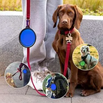 ARTECARE Portable Pet Bowls: 2 Pack Collapsible for Travel