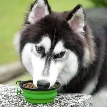 ARTECARE Portable Pet Bowls: 2 Pack Collapsible for Travel