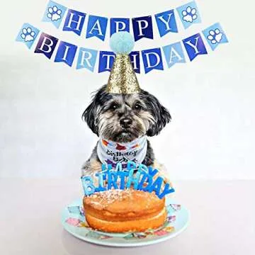 Complete Party Supplies Kit for Pets Birthday Celebration