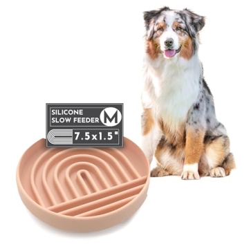 Should We Go? - The Slowdown Bowl - Silicone Slow Feeder for Dogs & Puppies, Slow Eating, Modern Lic...