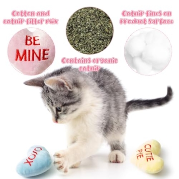Valentine's Day Catnip Heart Toys for Kittens and Cats