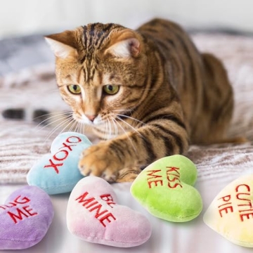 Valentine's Day Catnip Heart Toys for Kittens and Cats