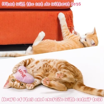 Valentine's Day Catnip Heart Toys for Kittens and Cats