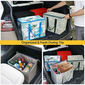 BALEINE 2Pk Insulated Reusable Grocery Bags, Collapsible Cooler Bag for Groceries, Heavy Duty Large Insulated Bag (16''x9''x13'', Spring Stroll)