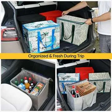 BALEINE 2Pk Insulated Reusable Grocery Bags, Collapsible Cooler Bag for Groceries, Heavy Duty Large Insulated Bag (16''x9''x13'', Spring Stroll)