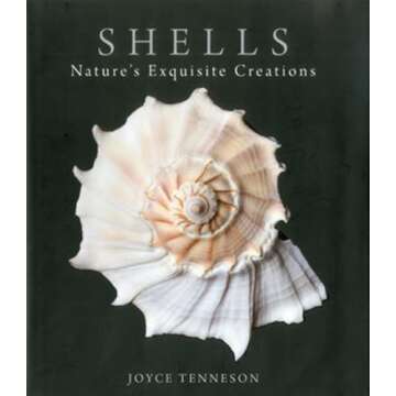 Shells: Nature's Exquisite Creations