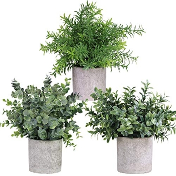 Winlyn Mini Potted Plants - Set of 3 Faux Greenery