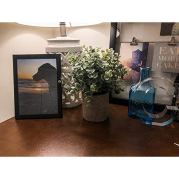 Winlyn Mini Potted Plants - Set of 3 Faux Greenery