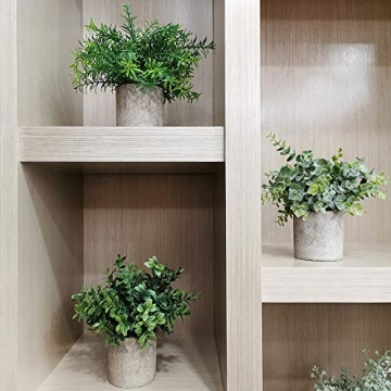 Winlyn Mini Potted Plants - Set of 3 Faux Greenery