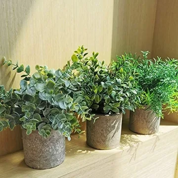 Winlyn Mini Potted Plants - Set of 3 Faux Greenery