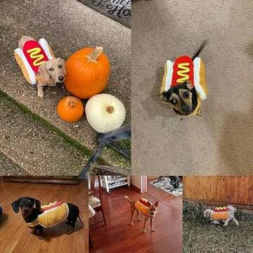 Hot Dog Pet Costumes Halloween Costumes, Fun Food Halloween Dog Cosplay Halloween Christmas Costumes Dog Clothes Party Costumes for Small Dogs, Puppies and Cats (Small)