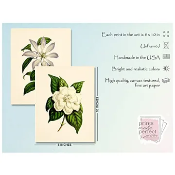 Stunning Vintage Floral Decor - 8x10 Prints Set of 6