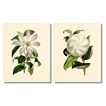 Stunning Vintage Floral Decor - 8x10 Prints Set of 6
