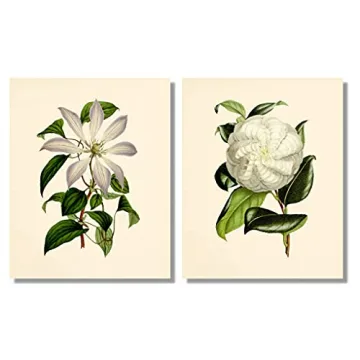 Stunning Vintage Floral Decor - 8x10 Prints Set of 6
