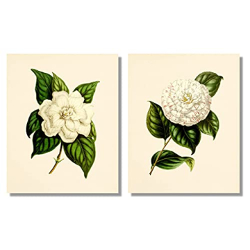 Stunning Vintage Floral Decor - 8x10 Prints Set of 6
