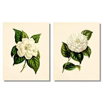 Stunning Vintage Floral Decor - 8x10 Prints Set of 6