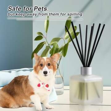 Brakula Black Vanilla Reed Diffuser Set - Scented Oil Diffuser with 10 Sticks, 6.1 oz /180ml, Home Fragrance for Bedroom Bathroom Living Room, Home & Office Decor