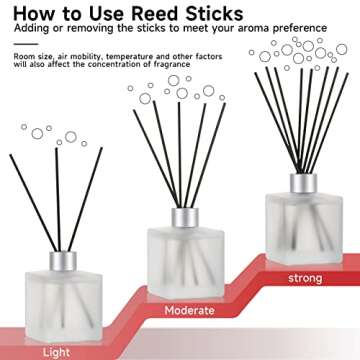 Brakula Black Vanilla Reed Diffuser Set - Scented Oil Diffuser with 10 Sticks, 6.1 oz /180ml, Home Fragrance for Bedroom Bathroom Living Room, Home & Office Decor