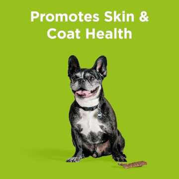 BIXBI Skin & Coat Support Chicken Jerky Dog Treats, 12 oz - USA Made Grain Free Dog Treats - Antioxi...