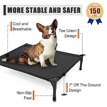 Garnpet Elevated Dog Bed - Comfort for Medium Dogs