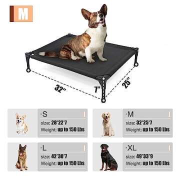 Garnpet Elevated Dog Bed - Comfort for Medium Dogs