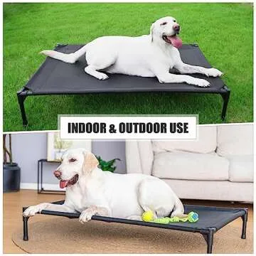 Garnpet Elevated Dog Bed - Comfort for Medium Dogs