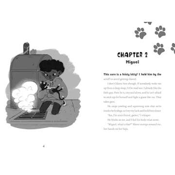 Bodega Cats: Picture Purrfect | Whimsical Feline Adventures in Bodega Settings