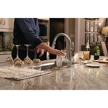 Delta GR150-SP Glass Rinser for Effortless Cleaning