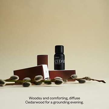 Vitruvi Cedarwood, 100% Pure Premium Essential Oil (0.3 fl.oz)