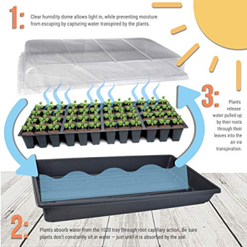 Heavy Duty Seed Starter Trays with Humidity Dome - 2 Pack