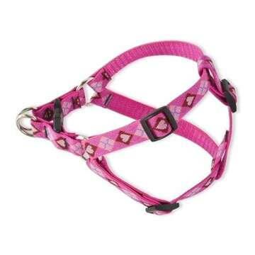 LupinePet Originals 3/4" Puppy Love 20-30" Step In Harness for Medium Dogs