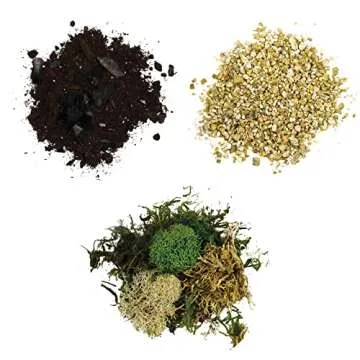 Cute Farms Terrarium Starter Kit with Glass & Accessories