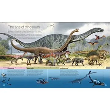 Engaging Timelines of Everything for All Ages