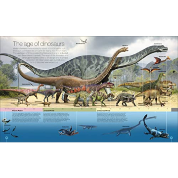 Engaging Timelines of Everything for All Ages