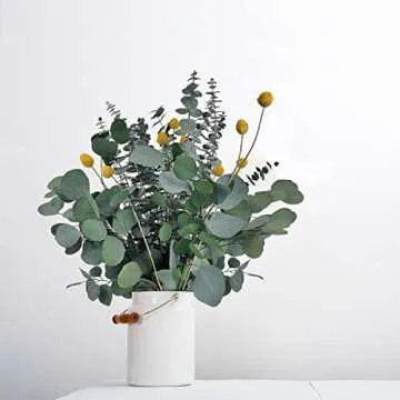 28 PCS Mix Natural Dried Eucalyptus Flowers Bundle, 17" Real Preserved Eucalyptus Stems with Dried Billy Balls Flowers & Silver Dollar Eucalyptus for Shower Home Wedding Office Party Table Decor