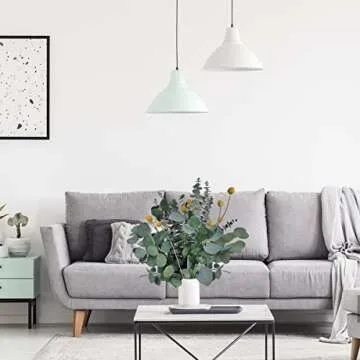 28 PCS Mix Natural Dried Eucalyptus Flowers Bundle, 17" Real Preserved Eucalyptus Stems with Dried Billy Balls Flowers & Silver Dollar Eucalyptus for Shower Home Wedding Office Party Table Decor