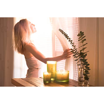 Chesapeake Bay Scented Candle Awaken Invigorate Lemongrass